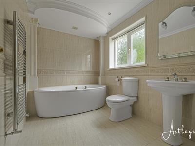 Picture 15